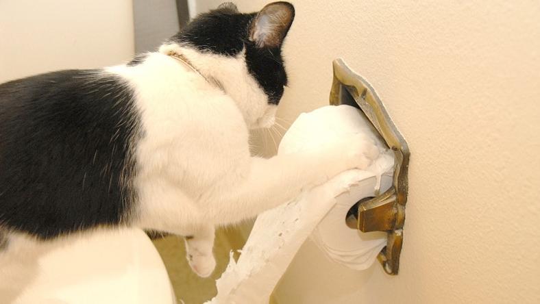 怎么避免上厕所没有纸?